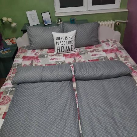 Sweet Home Danube Liman Apartment 诺威萨 外观 照片