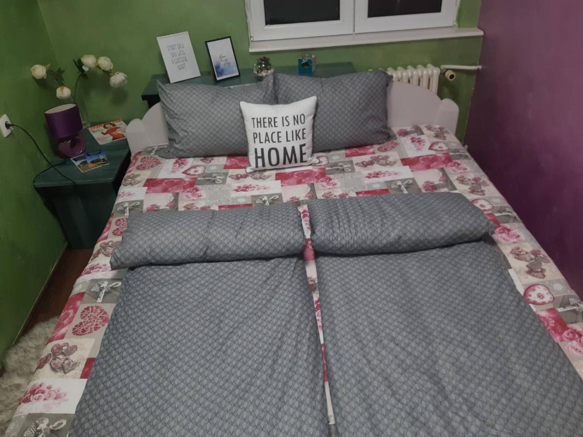 Sweet Home Danube Liman Apartment 诺威萨 外观 照片
