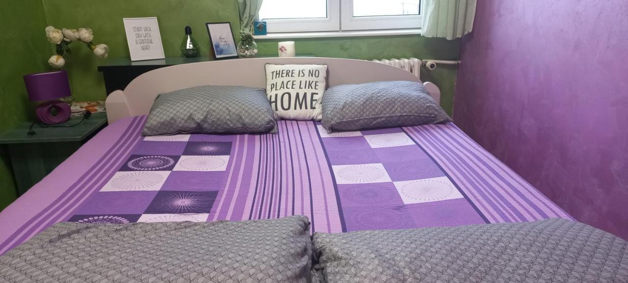 Sweet Home Danube Liman Apartment 诺威萨 外观 照片