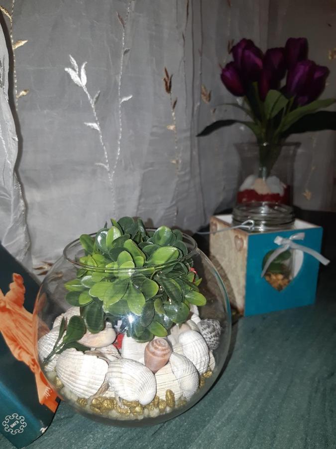 Sweet Home Danube Liman Apartment 诺威萨 外观 照片