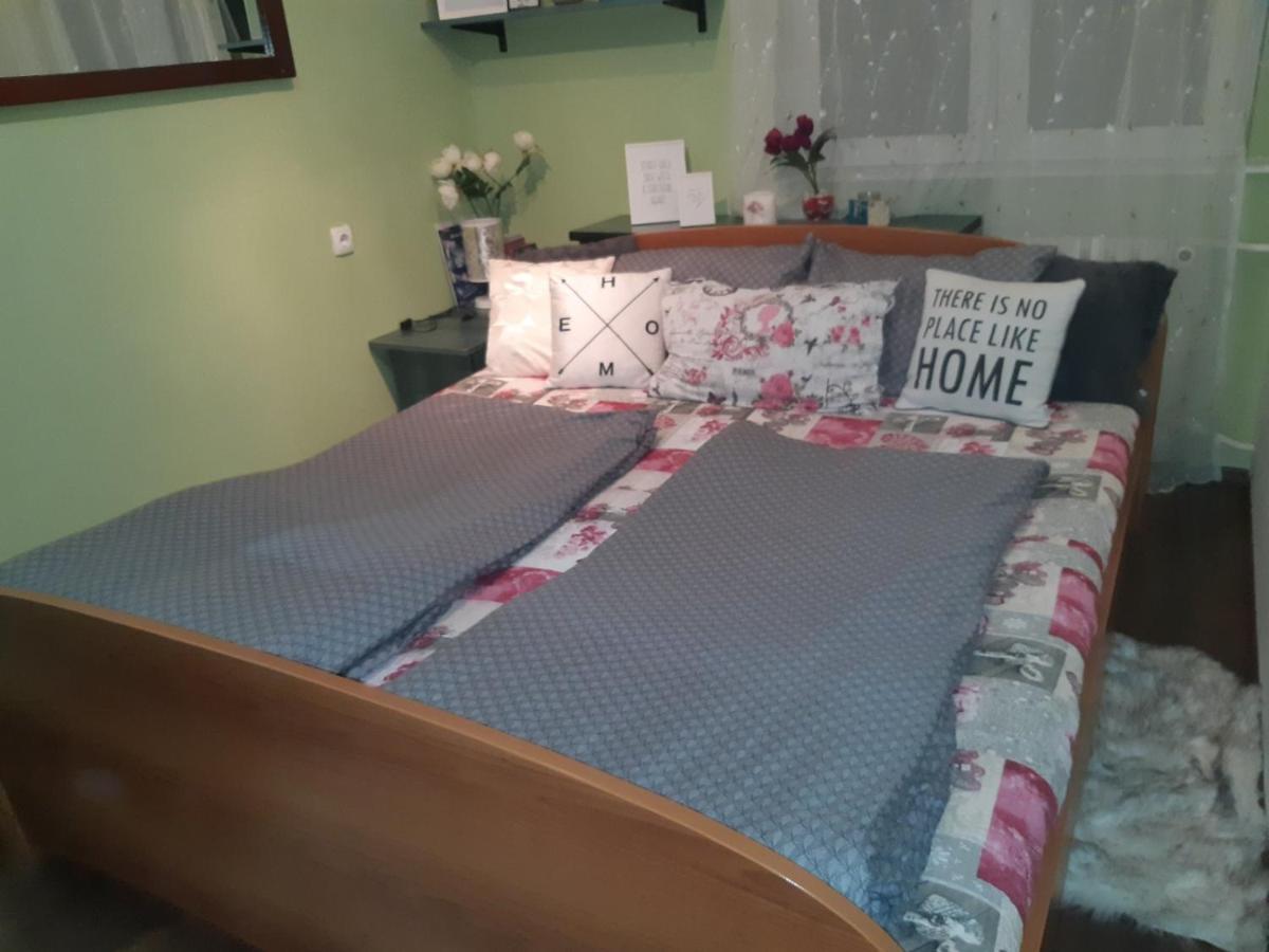 Sweet Home Danube Liman Apartment 诺威萨 外观 照片