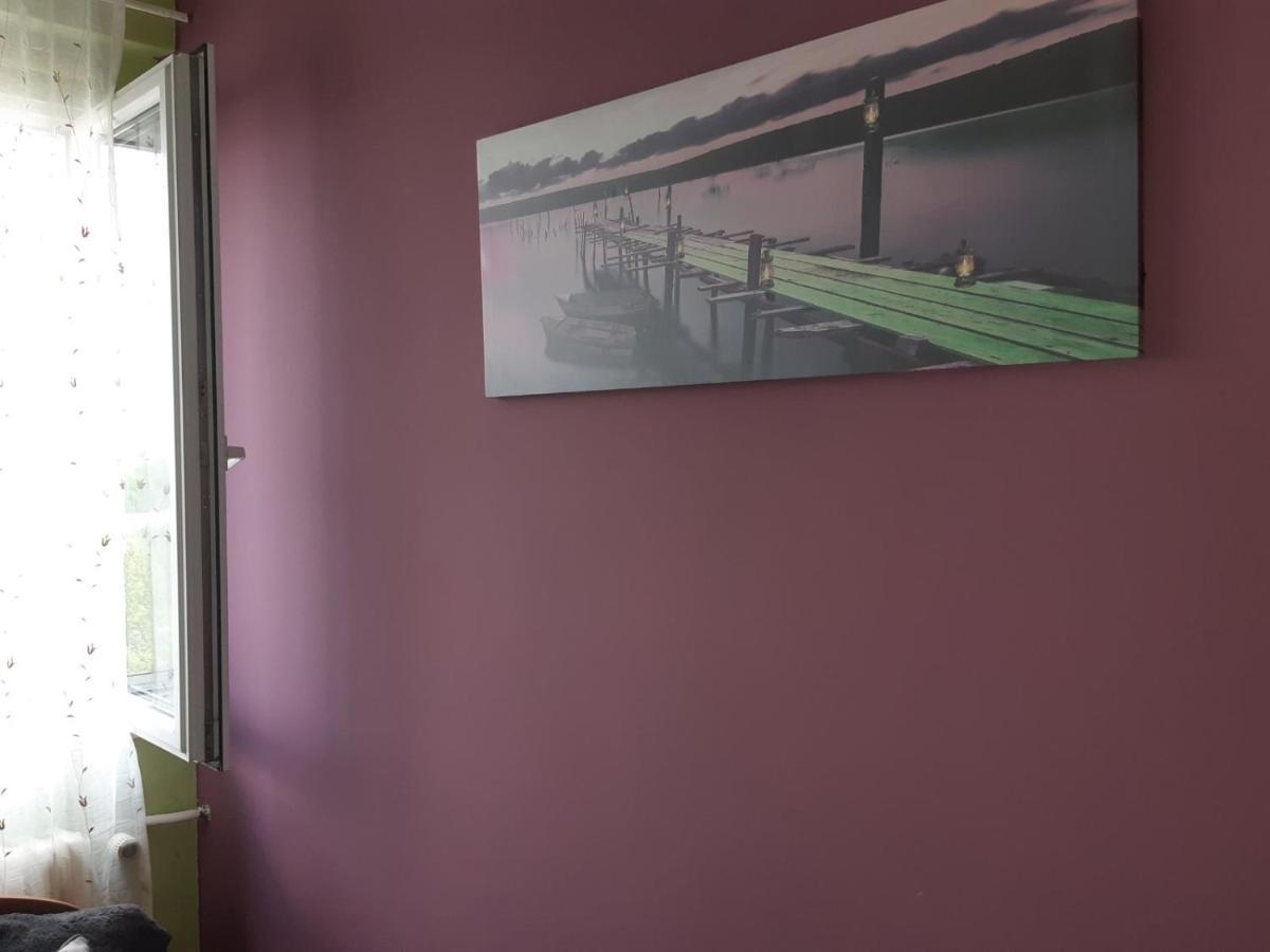 Sweet Home Danube Liman Apartment 诺威萨 外观 照片