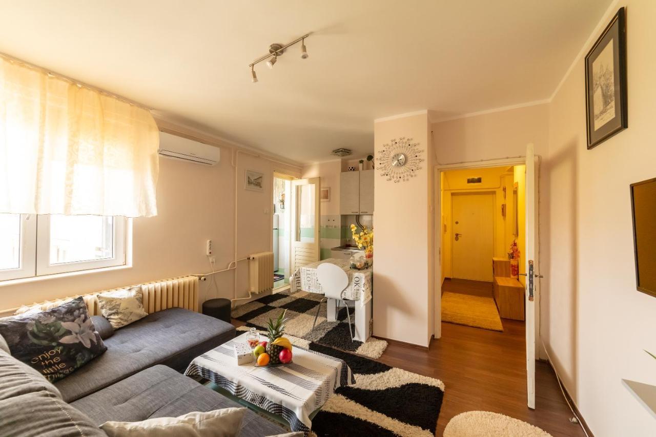 Sweet Home Danube Liman Apartment 诺威萨 外观 照片