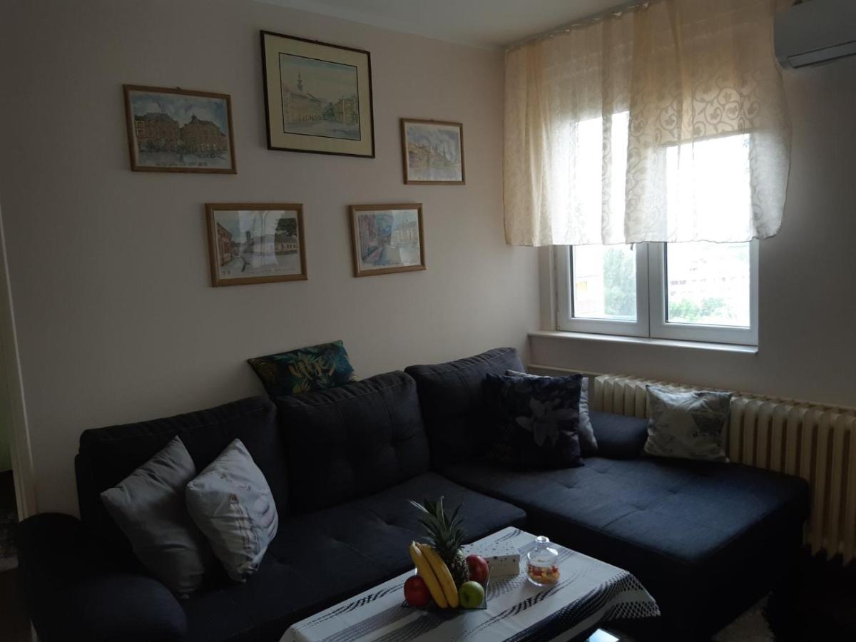 Sweet Home Danube Liman Apartment 诺威萨 外观 照片